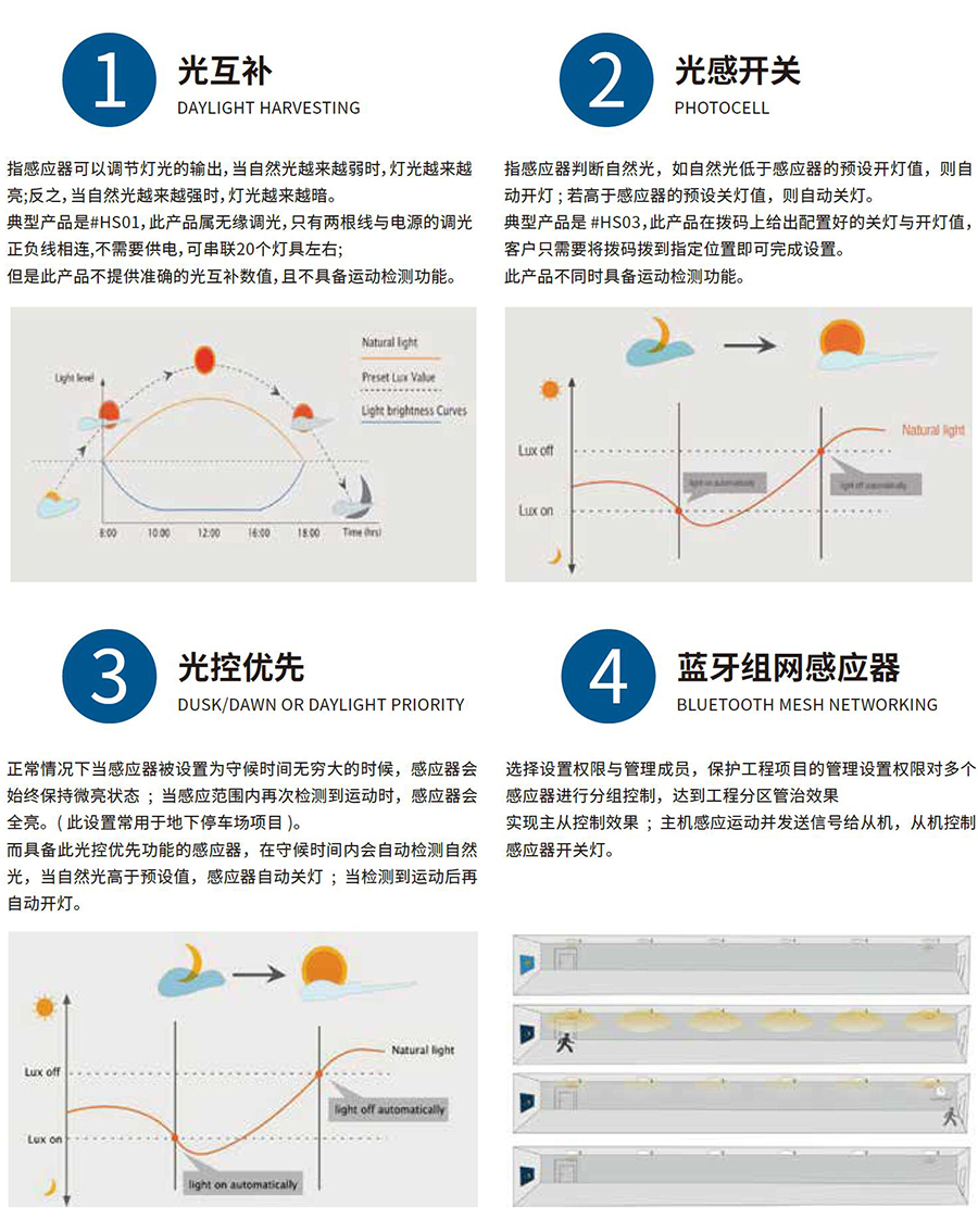 1704264121171504.jpg 900px4.jpg